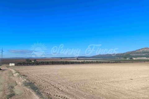 Ruinere i Yecla, Murcia, Yecla - € 28.000 | Ref: SF0551 - foto 17